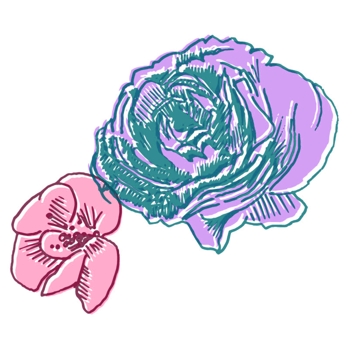 Illustration-flowers-0101