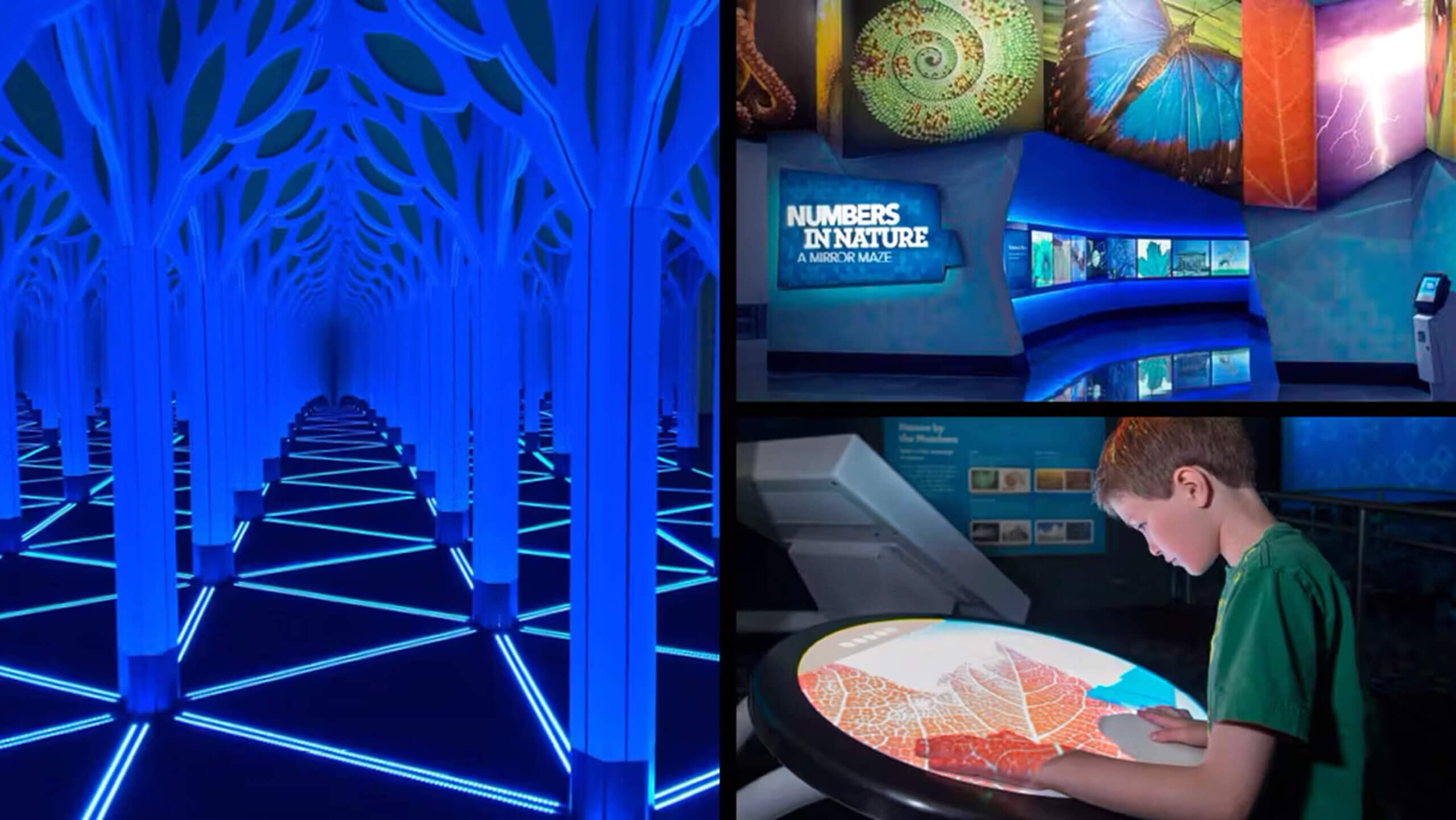 02-Numbers-in-Nature-Supplemental-Grid-1-1